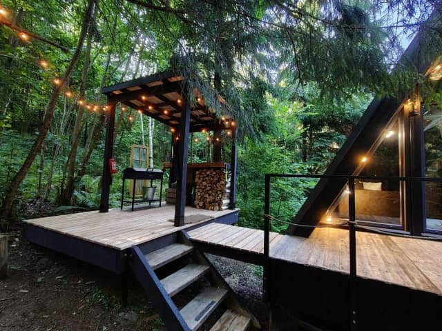 A-Frame дом в еловом лесу — глэмпинг «Nordic A-frame»