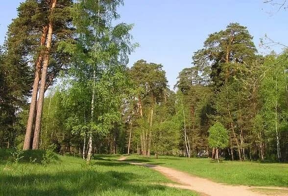 Серпуховский бор «Лужки»
