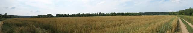 Река Нара у Тарутино