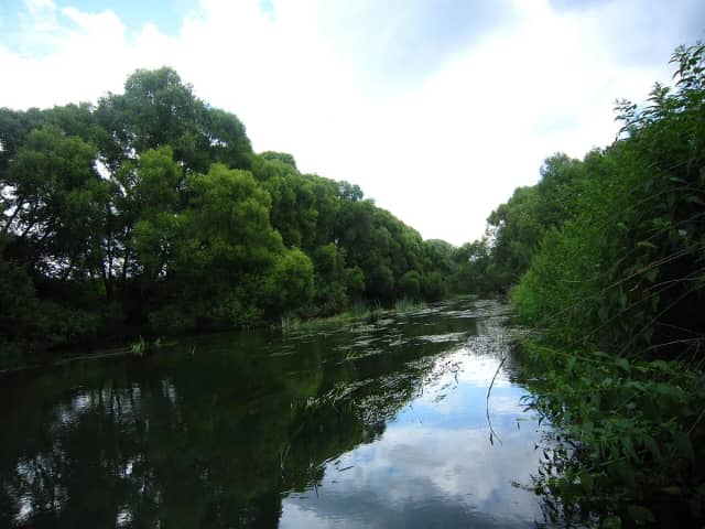 Река Лужа