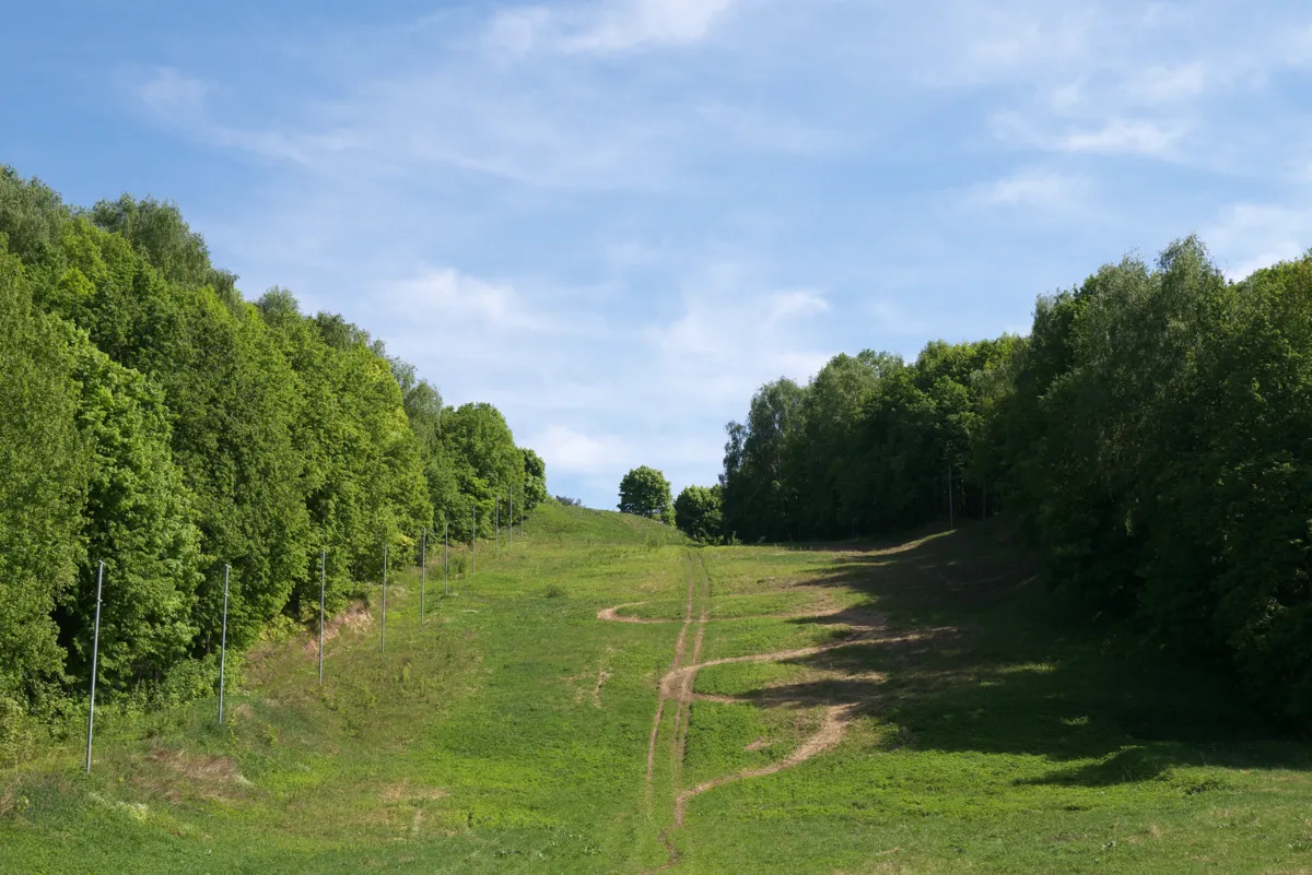 Боровский курган